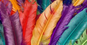 colorful feathers
