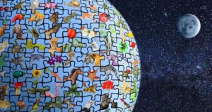 the world of logical leaders
